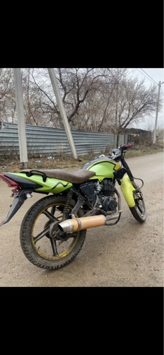 Продам рейсер тигр