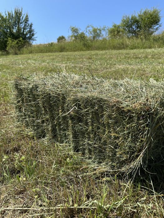 Vând baloții fân, otavă 2025