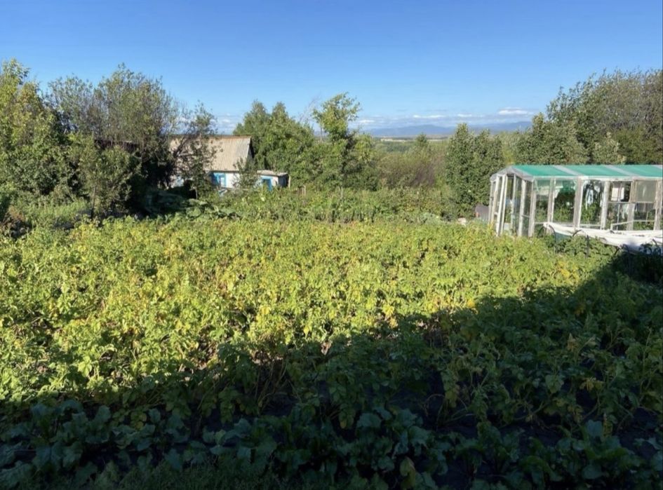 Срочно!!! Продам дачу!!!