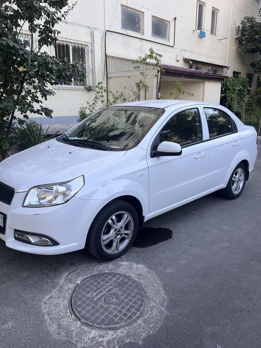 Nexia 3 kraska toza