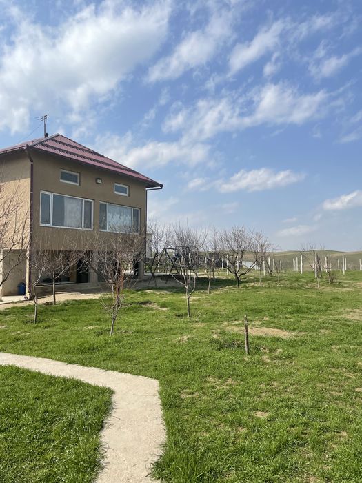 Продаются дачи на маковых полях