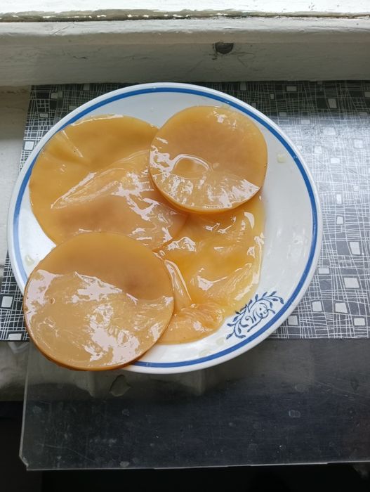 Чайный гриб продам