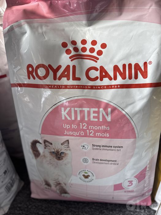 Royal Canin baby cat