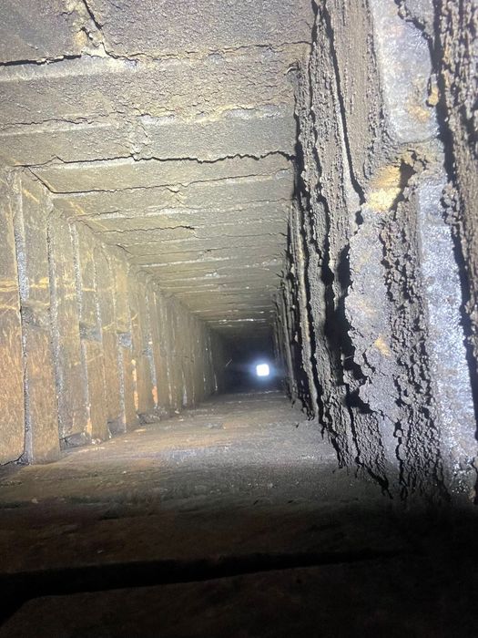 Cosar hornar autorizat ASCF