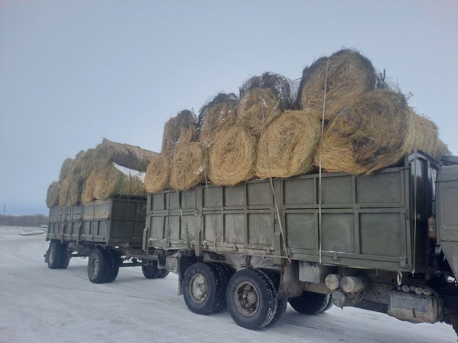 Сено.  Рулон. Шоп. 250 кг. АСТАНА.