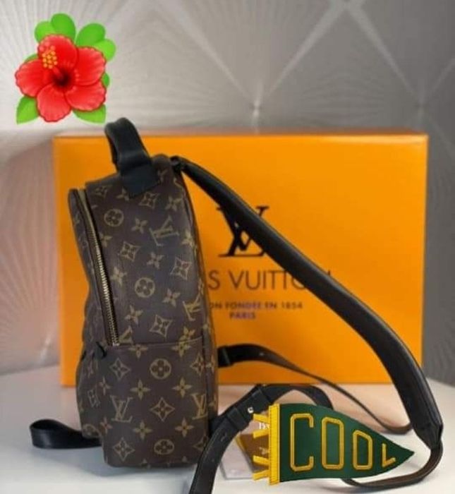 Rucsac LV,super model, import Franța, saculet, etichetă