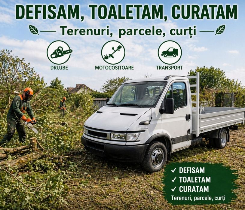Curatari, defrisari si toaletari de curti si terenuri