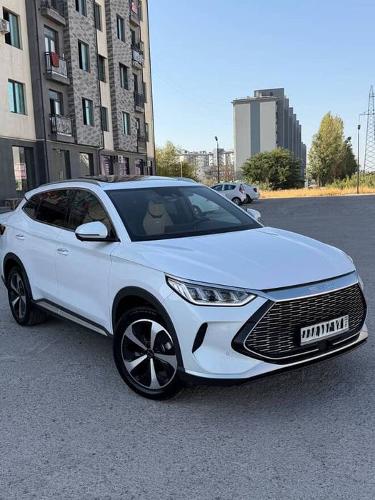 Byd song plus GIBRID 2023 yil oq toza