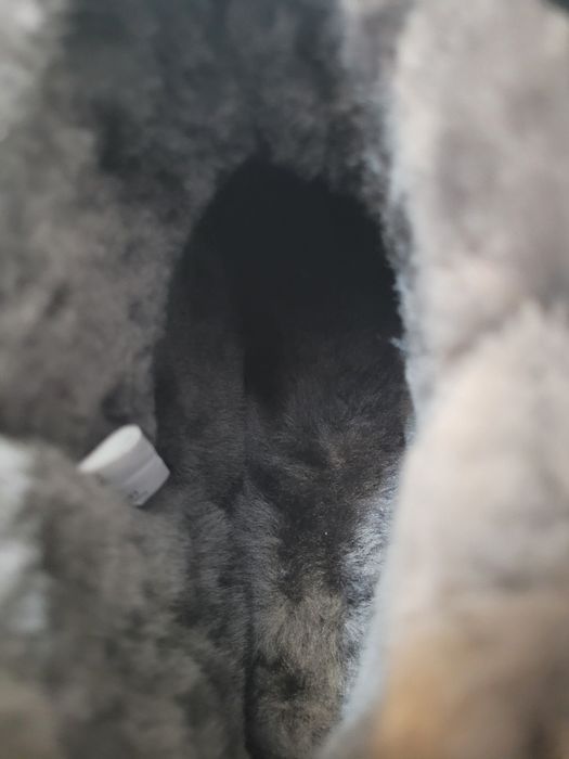 Cizme Warmbat Australia