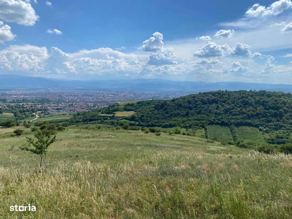 Teren Gusterita, posibilitate parcelare dupa preferinte