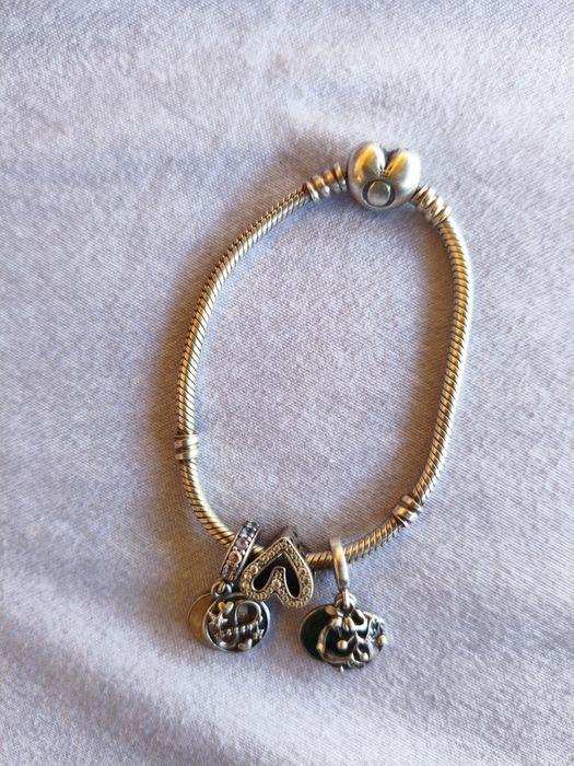 Серебряный браслет Pandora Moments