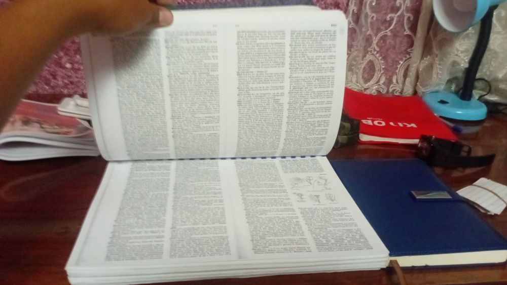 Langenscheidt Nemis tili