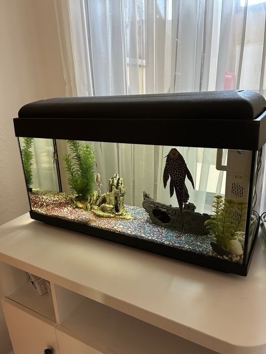Acvariu 100 l complet