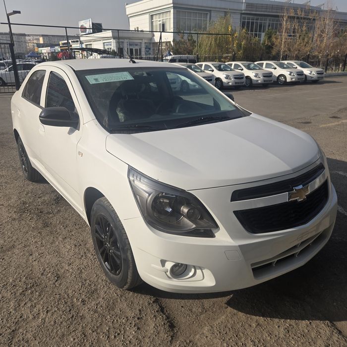 **‼️Cobalt midnight Masla‼️2025