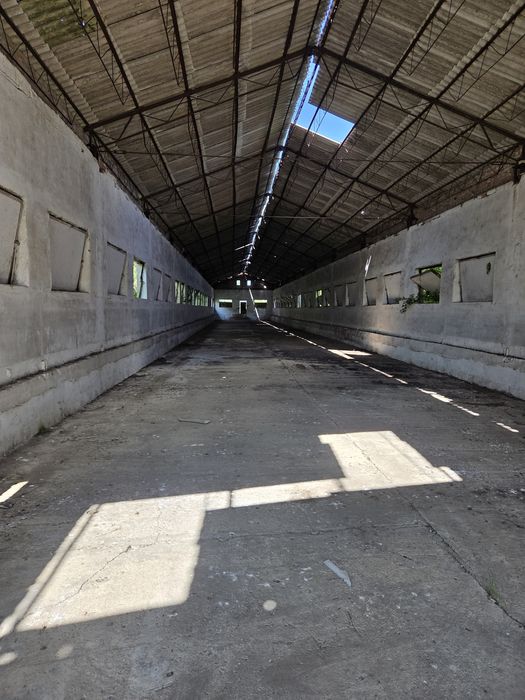 Vand teren intravilan 3300mp cu 2 hale industriale   Direct de la proprietar.  0% comision