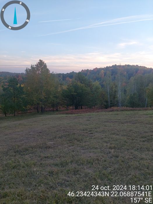 Vând 2.9 ha teren chisindia sat vasoaia/pret pe hectar