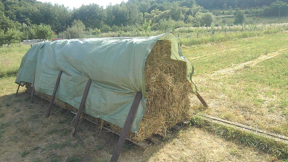 Baloti lucerna coasa a 2a