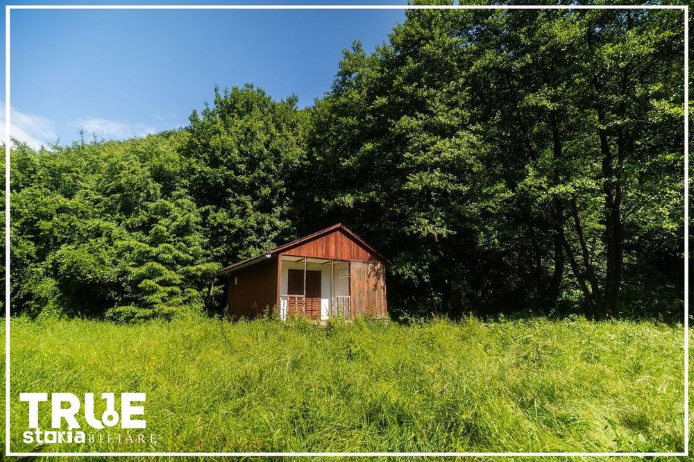 Teren intravilan 2.800 m² în Câmpu Cetății – liniște și natură