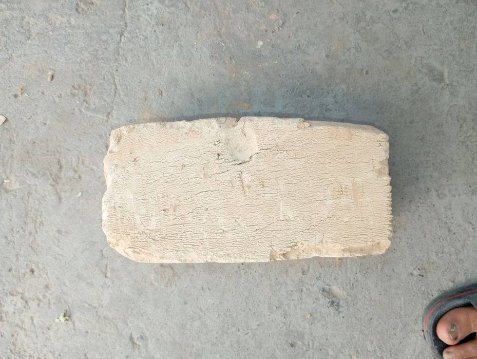 Pishgan gʻisht (палтарашка)