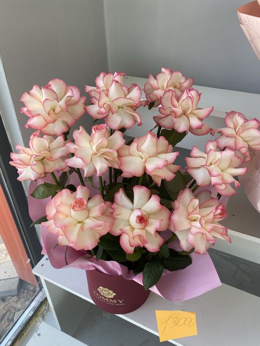 Цветы голландкие