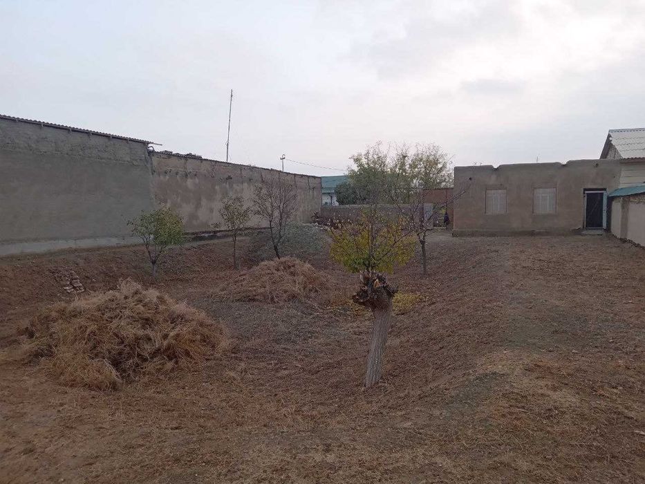 Yer uchastkasi sotiladi. Navoiy viloyati Qiziltepa tumanida.