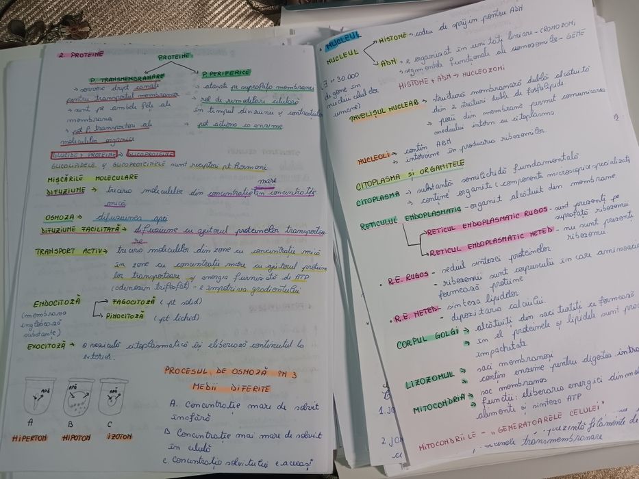 Vând notițe  admitere Medicină din Barrons +Netter pdf la 50 de lei .