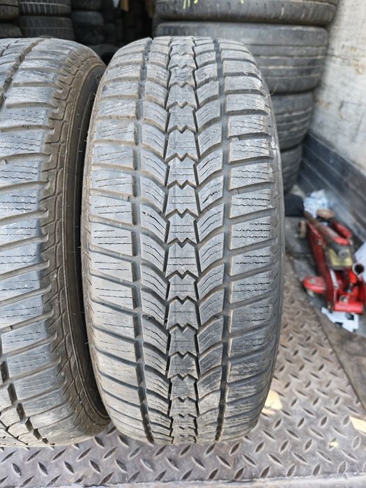 Sava Eskimo HP2 205/60/16