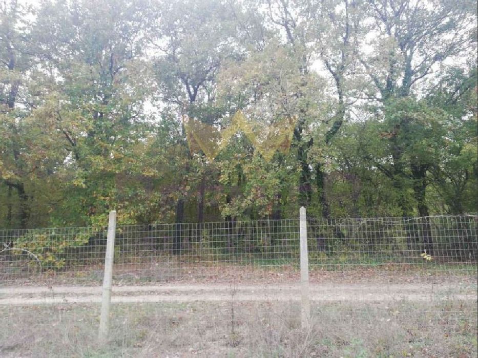 Продава се Парцел в Варна, м-т Боровец - юг - 600 кв.м за 92 €/кв.м - Снимка #2