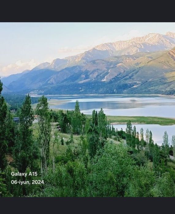 Сижжак да 3.5 сотх + 2 томорка  5.5 сотх дача учун жой срочна сотилади