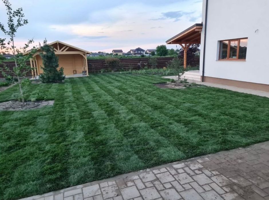 Gazon rulou premium sistem irigații plante ornamentale