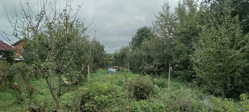 Продава се Парцел в с. Боровци, Област Монтана - 790 кв.м за 16 €/кв.м - Снимка #9