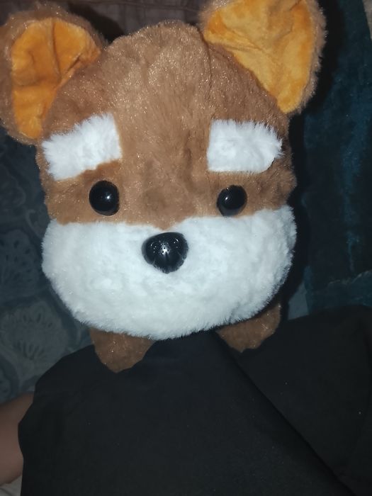 Жұмсақ ойыншықтар сатамыз біреу десеніздер біреу