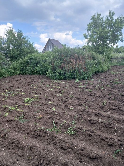 Продам дачу по Зерендинской трассе,.