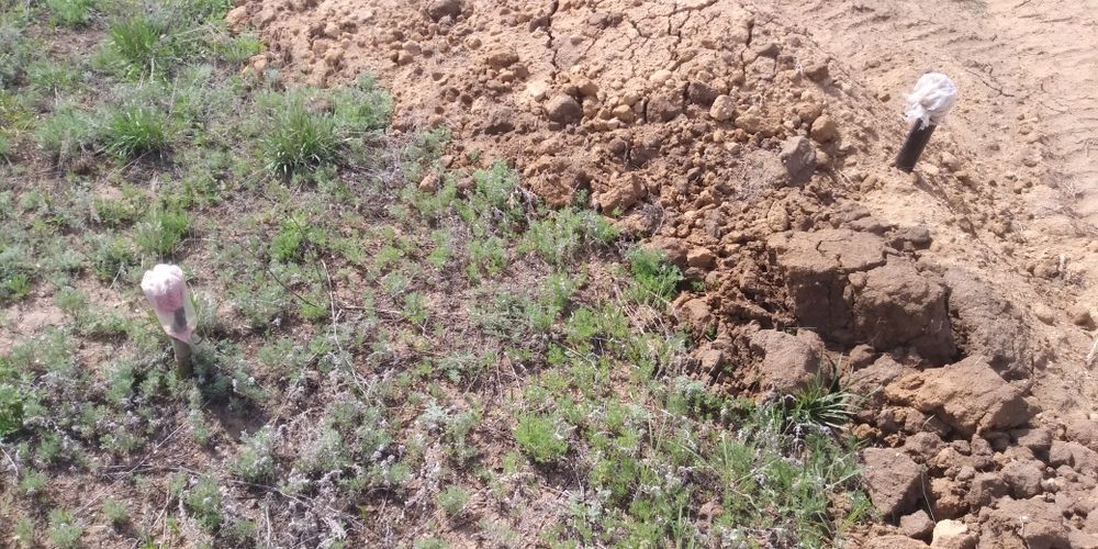 Парасат 10 соток размер 25*40, Актобе