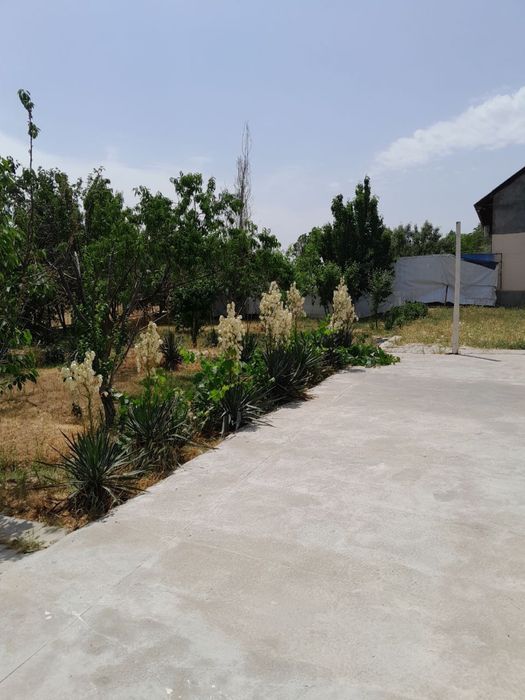 Срочно!! продаётся/сдаётся дача