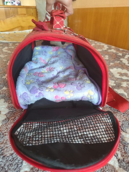 Чанта за домашни любимци