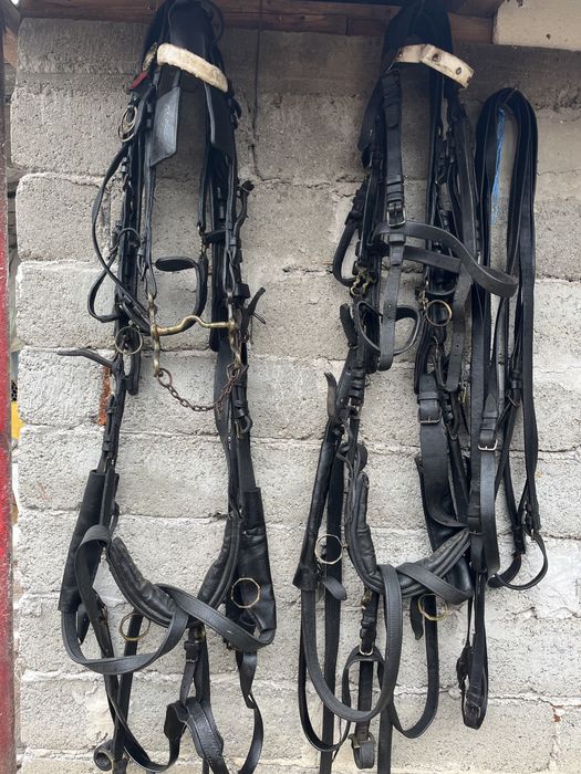 Vand o perche hamuri trasura