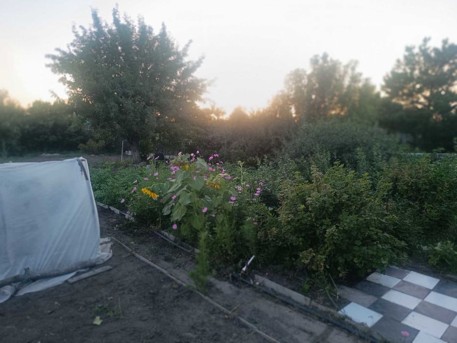 Продам дачу на Федоровке