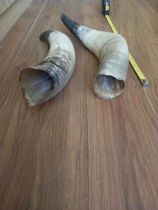 Големи рога за барутници