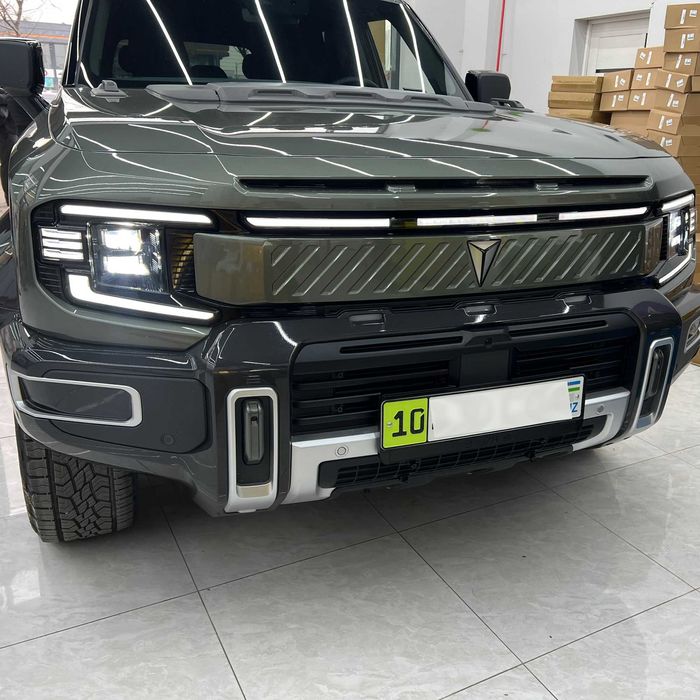 Radiator zashita Deepal G318 restyling || Решетка защита радиатора