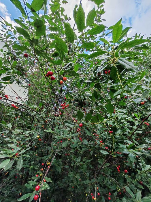 Продам двухкомнатную квартиру