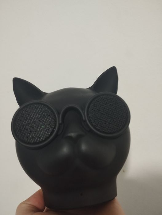 Boxa pisica șmechera