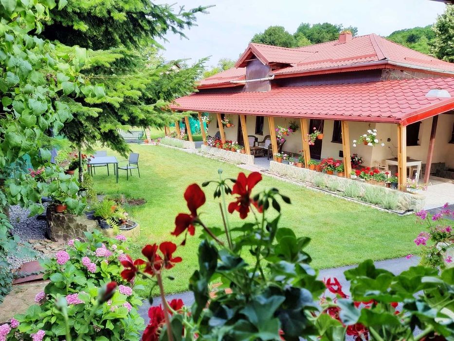 Inchiriere Casa cu Gradina Valea Prahovei
