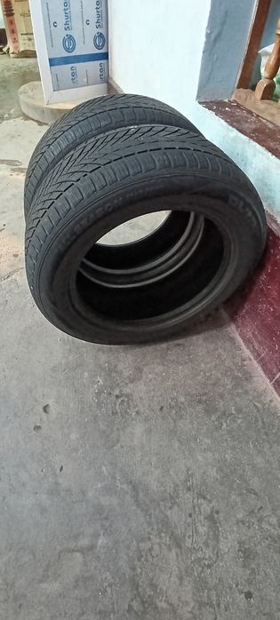 Малибу1 га балон