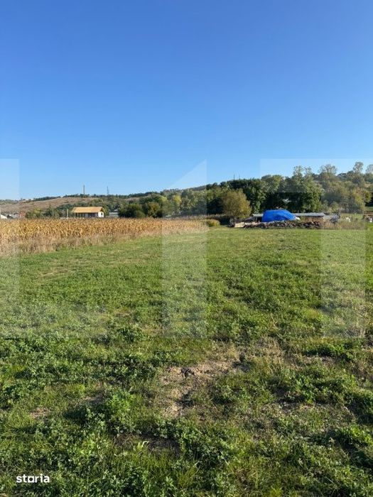Teren extravilan 965 mp, Manolesti, Botosani