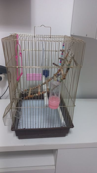 Продаю клетку для попугаев