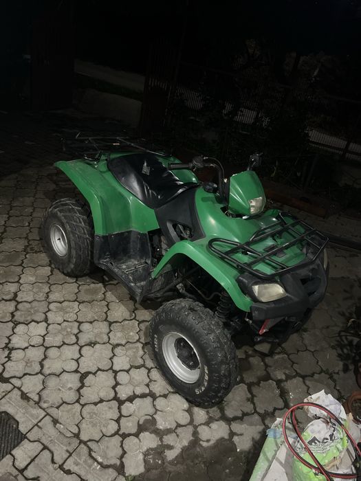 Atv Phioneer 300