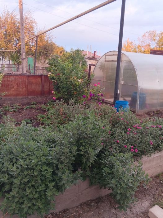 Срочно продам дом (торг)