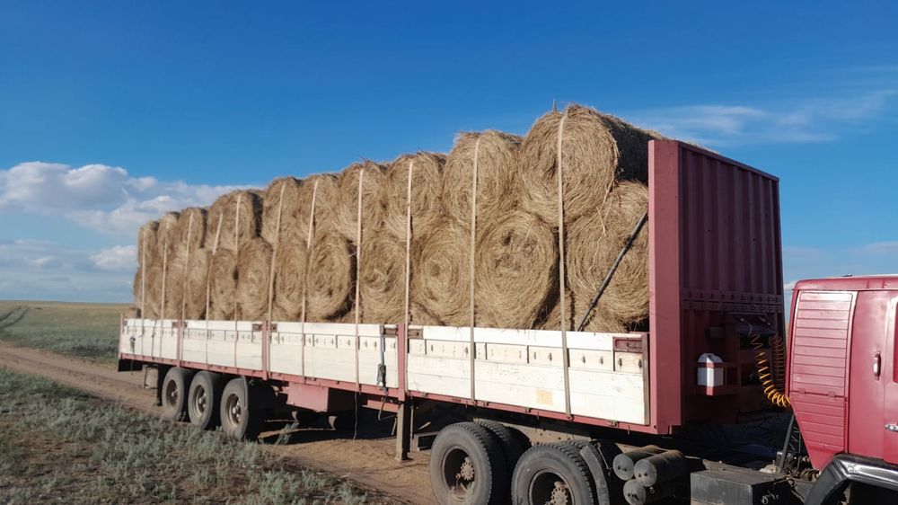 Шөп! Тюк разнотравье