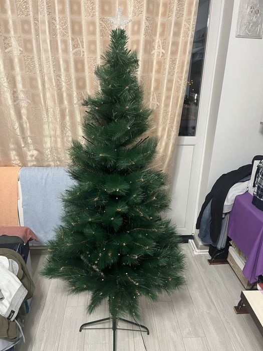 Brad de craciun ca NOU